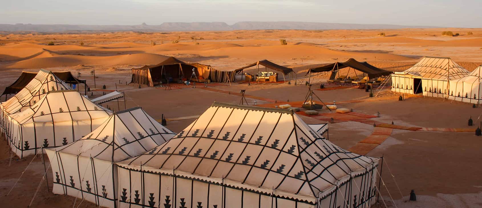A camel caravan in the Moroccan desert at sunset